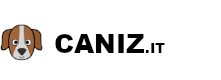 Caniz Logo